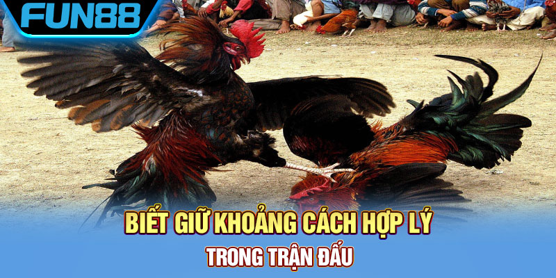 Đứng quá gần