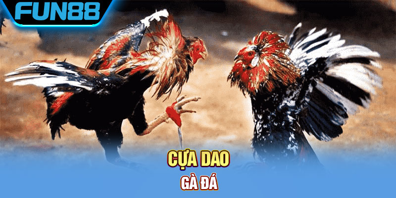 Cựa Dao