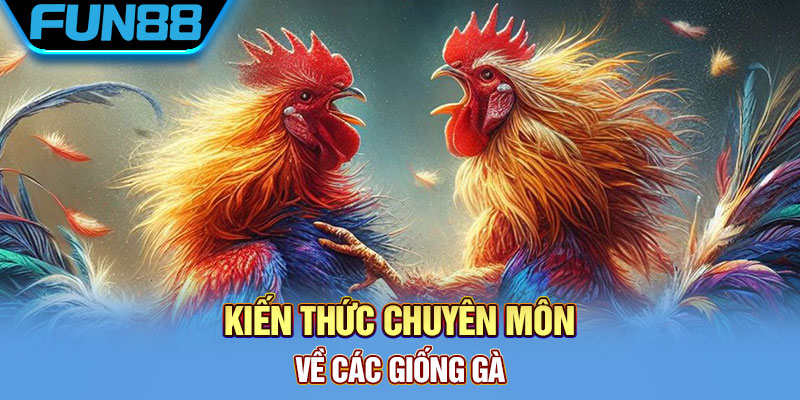 Kiến thức chuyên môn