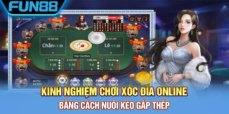 Nuôi kèo gấp thếp