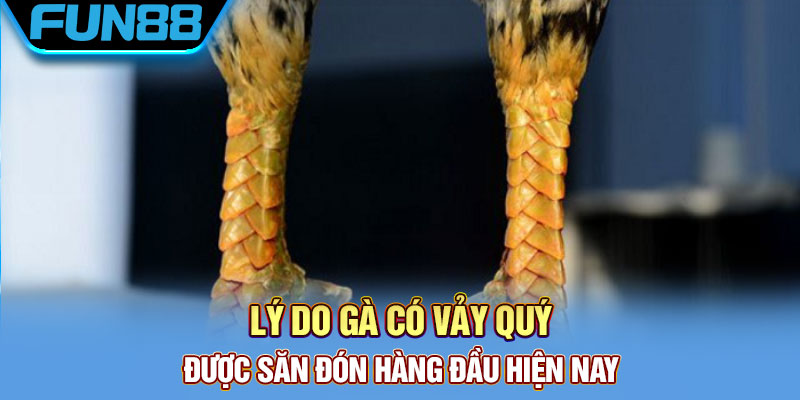 Được ưa chuộng, săn đón