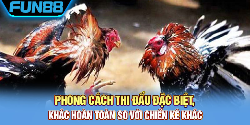 Phong cách thi đấu 