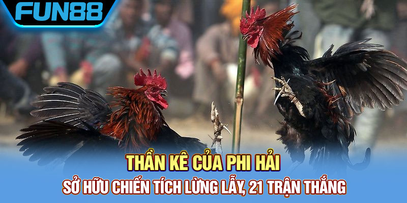 Tổng cộng 21 trận chiến thắng