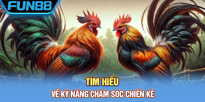 Kỹ năng chăm sóc