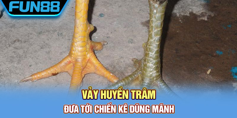 Vảy huyền trâm